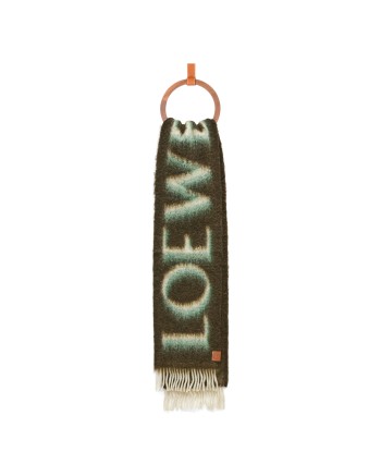 LOEWE - Echarpe en laine et mohair vert/blanc livraison gratuite