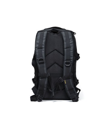 BG227-001 | BAROUDEUR NYLON 22L | BLACK online