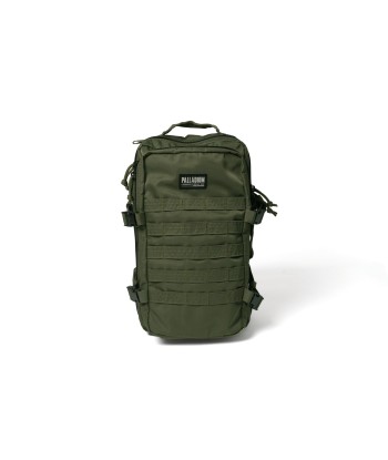 BG623-308 | BAROUDEUR 25L PR | DUSKY GREEN le des métaux précieux