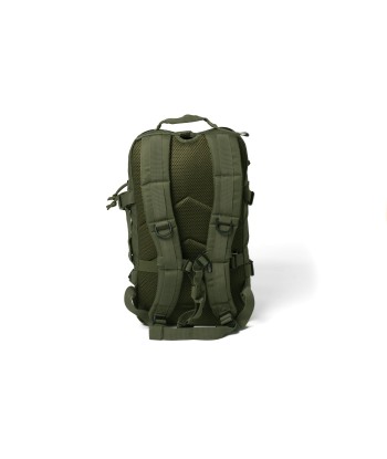 BG623-308 | BAROUDEUR 25L PR | DUSKY GREEN le des métaux précieux