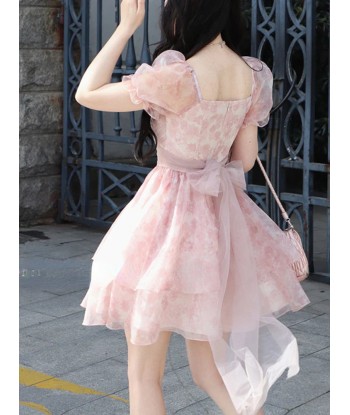 Rosa Kawaii Lolita Dress in Cottagecore Style for Parties Faites des économies