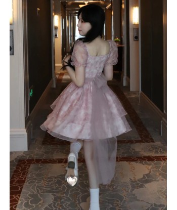 Rosa Kawaii Lolita Dress in Cottagecore Style for Parties Faites des économies