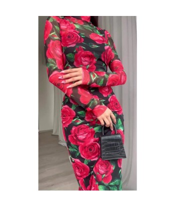 Attractive Long Sleeve Rose Dress in Retro E-Girl Style france