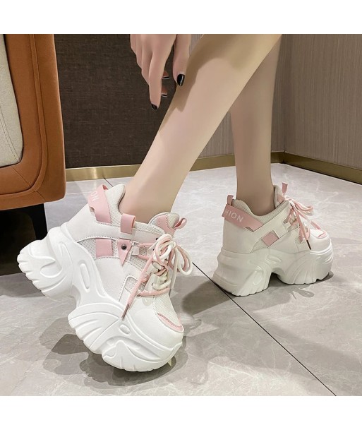 Pink Plateau Sneakers in Soft Girl Style – Lace-Up Shoes for Autumn une grave pollution 