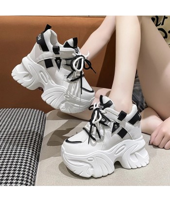 Pink Plateau Sneakers in Soft Girl Style – Lace-Up Shoes for Autumn une grave pollution 