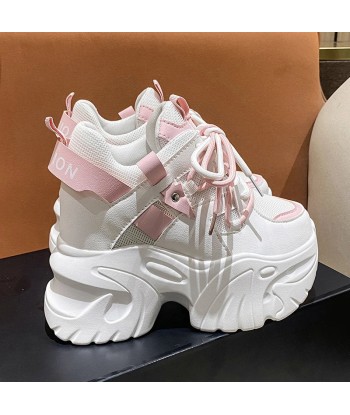 Pink Plateau Sneakers in Soft Girl Style – Lace-Up Shoes for Autumn une grave pollution 